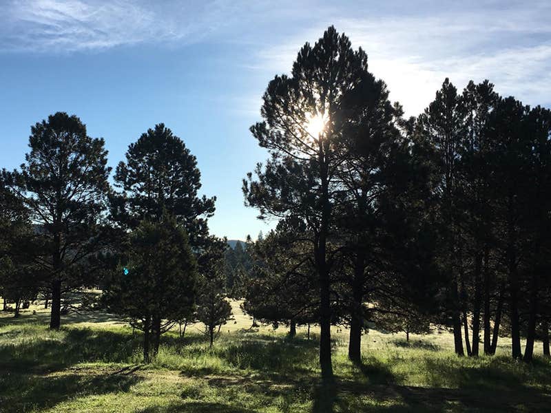Camper-submitted photo at 16 Springs near Mayhill, NM