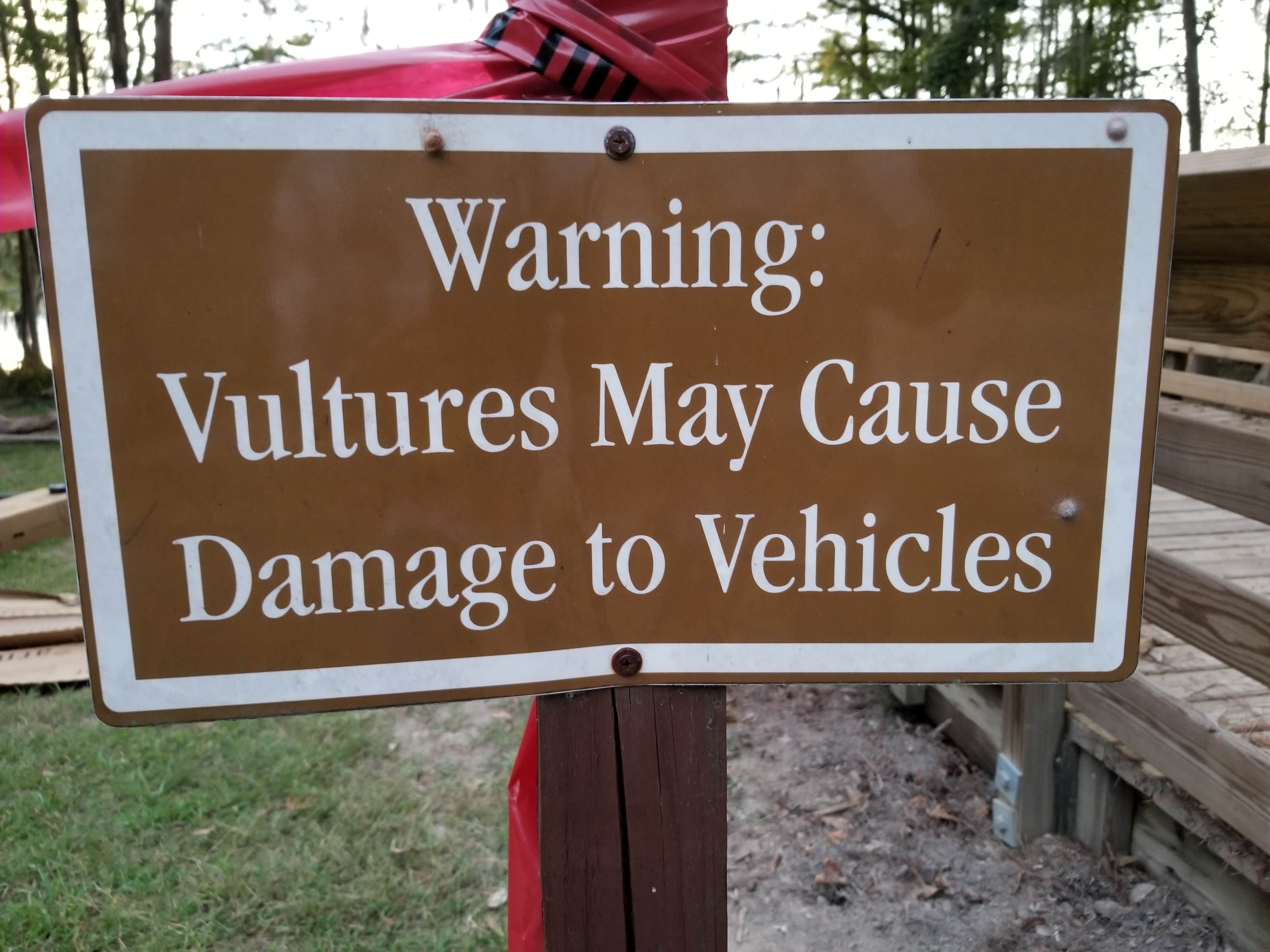 Camper submitted image from Cypress View Campground — Santee State Park - 5