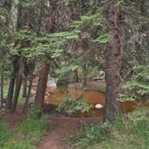 Review photo of Goose Creek Campground by Katie S., September 27, 2019