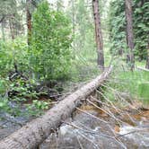 Review photo of Goose Creek Campground by Katie S., September 27, 2019