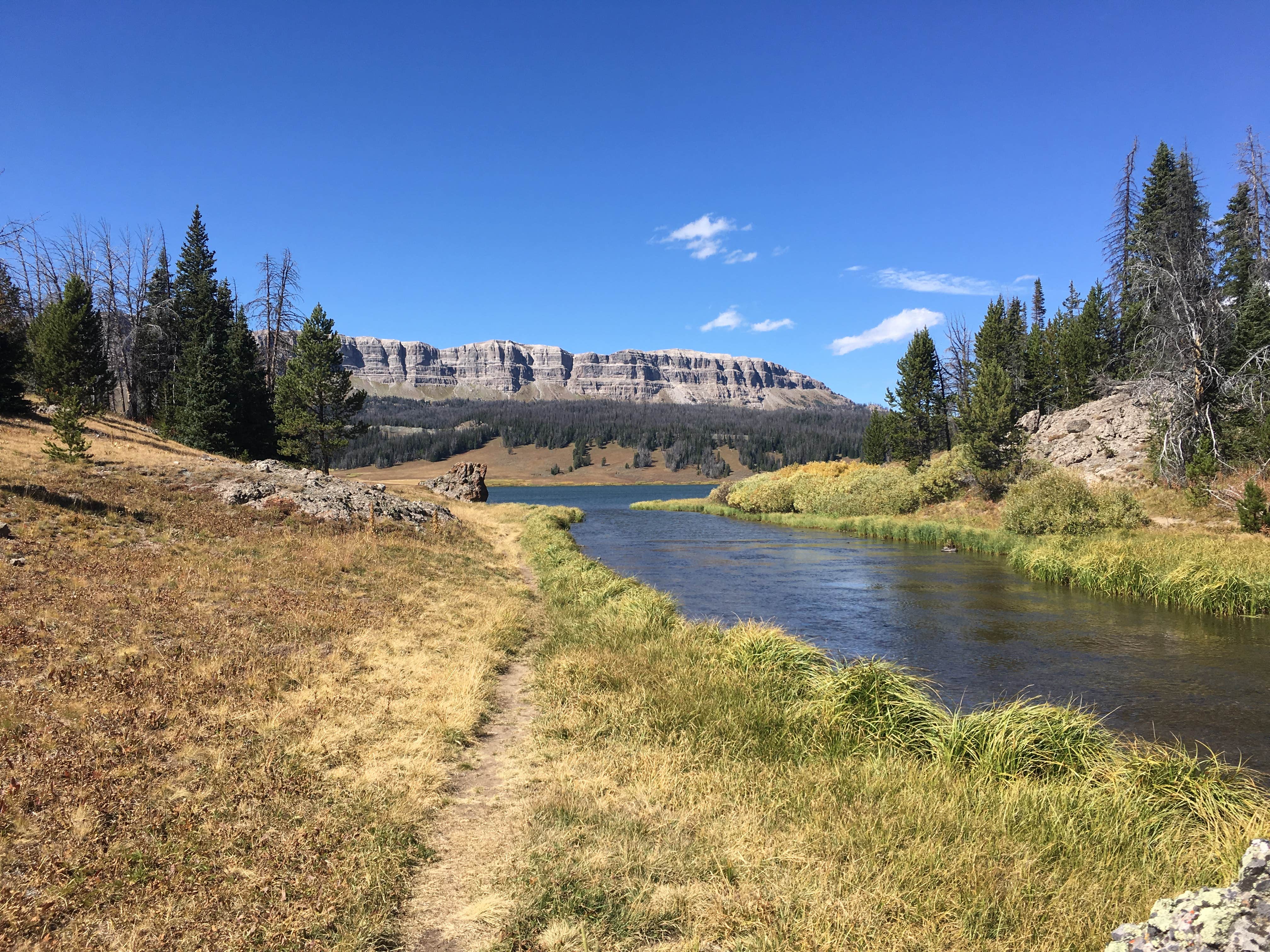 Camper submitted image from Falls Campground - 4