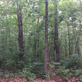 Review photo of Atsion Family Camp — Wharton State Forest by Tia Y., August 12, 2017