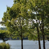 Review photo of Finger Lakes State Park Campground by Jenn L., September 27, 2019