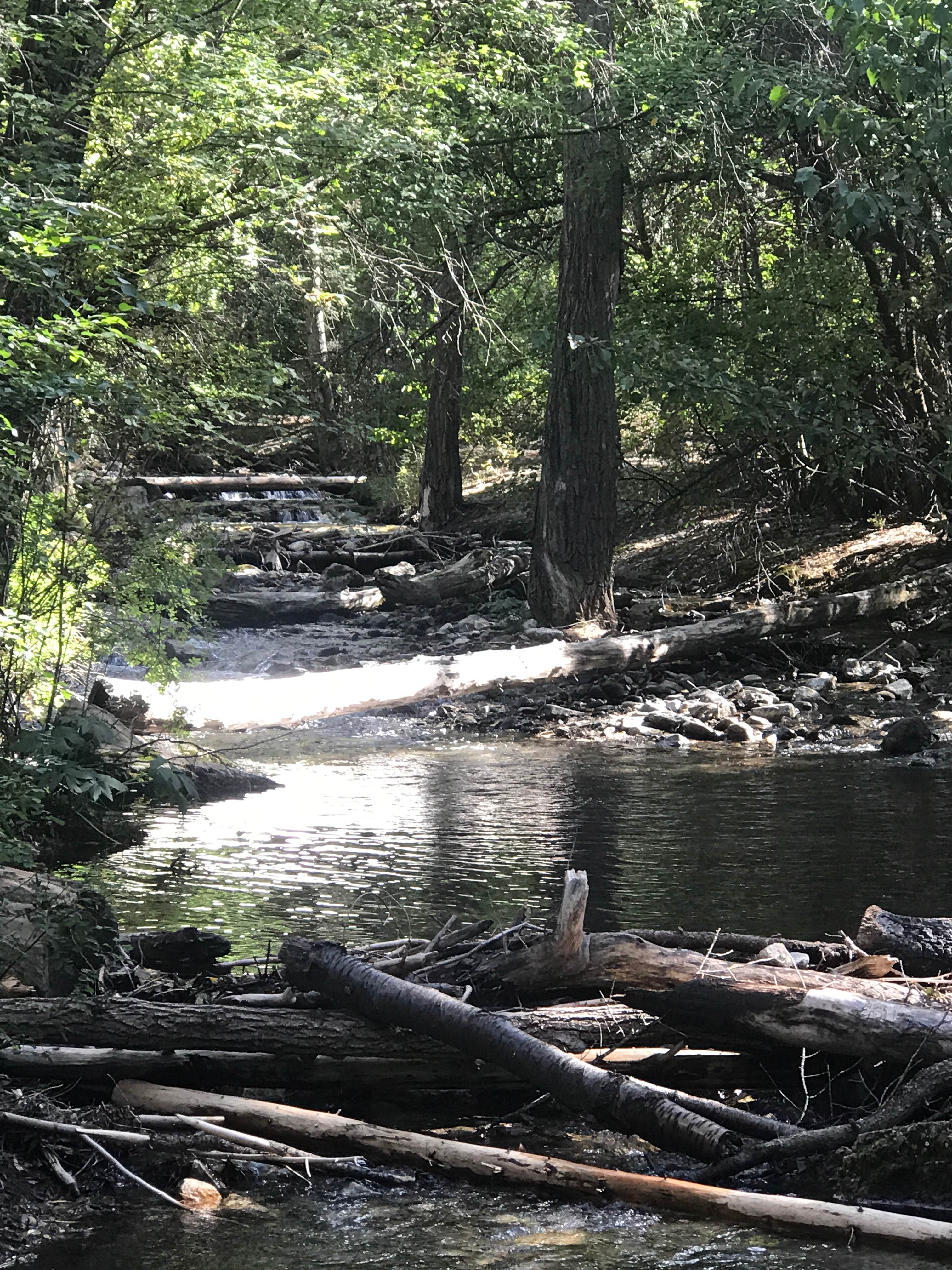 Camper-submitted photo at Columbine Campground (NM) near Arroyo Seco, NM