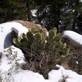 Review photo of Hualapai Mountain Park by Chris G., August 12, 2017