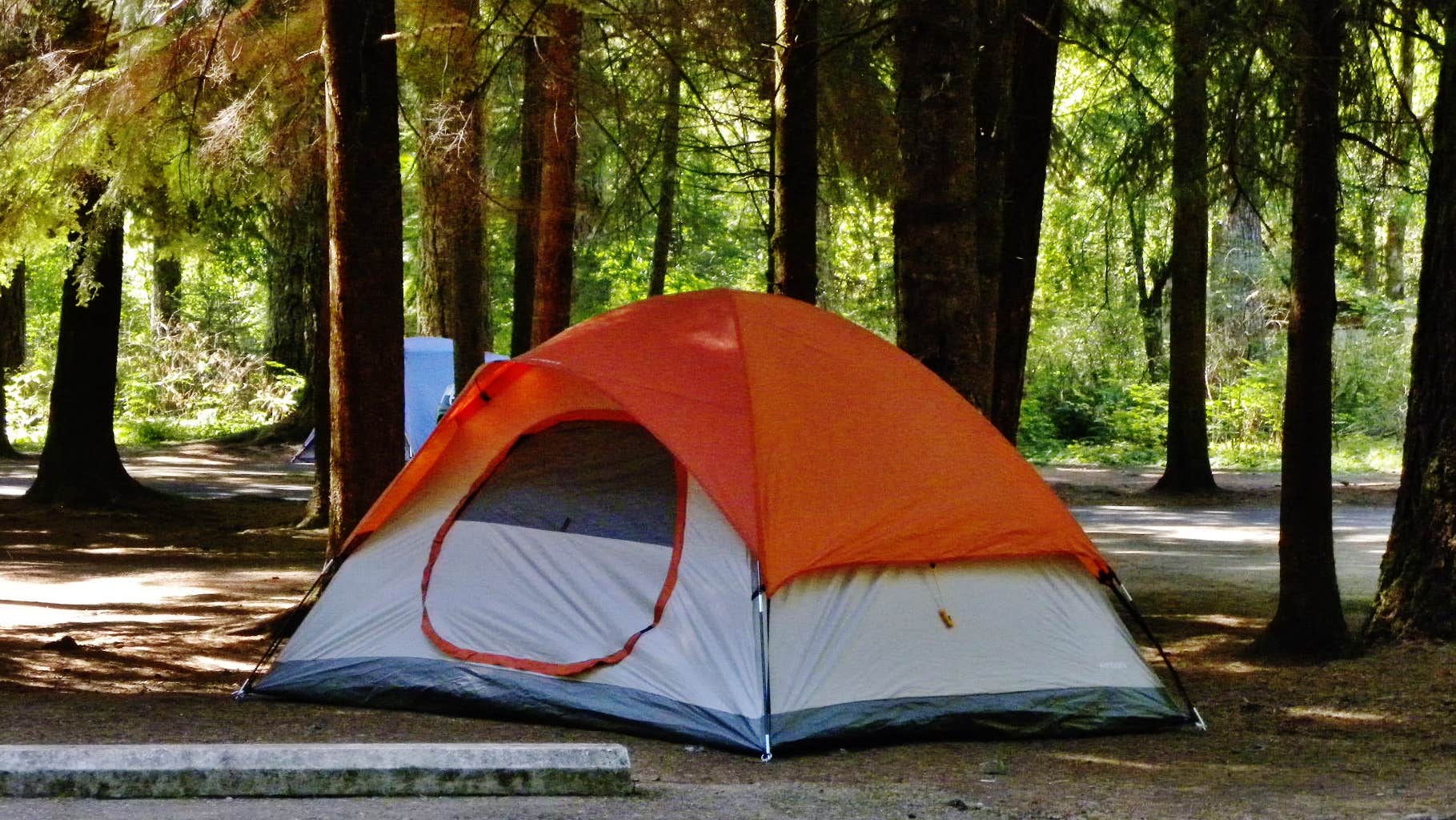 Myron C.'s photo at Silver Falls State Park Campground near Salem, OR