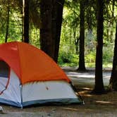 Review photo of Silver Falls State Park Campground by Myron C., September 28, 2019