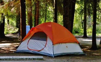Myron C.'s photo at Silver Falls State Park Campground near Gervais, OR