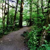 Review photo of Silver Falls State Park Campground by Myron C., September 28, 2019