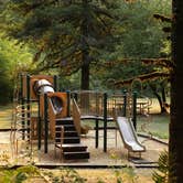 Review photo of Silver Falls State Park Campground by Myron C., September 28, 2019