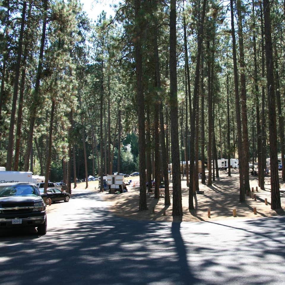 Porcupine Bay Campground Camping The Dyrt