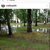 Review photo of Martin Dies, Jr. State Park Campground by Ashley C., August 12, 2017