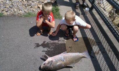 Camper-submitted photo at Modern Campground — Niobrara State Park near Geddes, SD