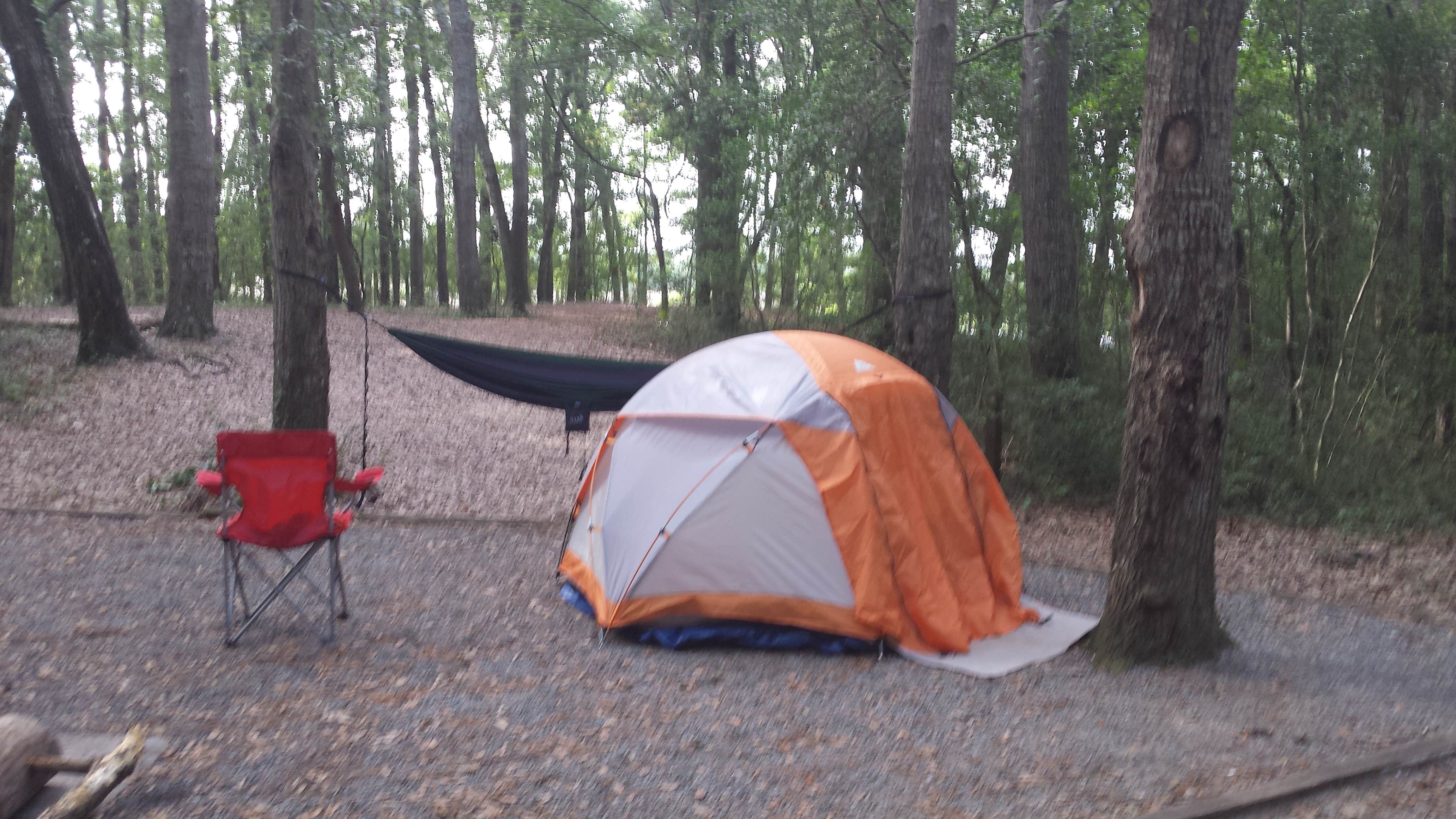 Faye D.'s photo at Carolina Beach State Park Campground near Oak Island, NC