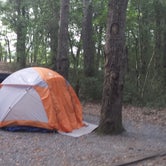 Review photo of Carolina Beach State Park Campground by Faye D., August 12, 2017