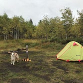 Review photo of Shadow Mountain Dispersed Camping by Regan A., September 28, 2019