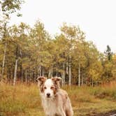Review photo of Shadow Mountain Dispersed Camping by Regan A., September 28, 2019