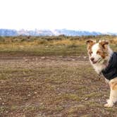 Review photo of Shadow Mountain Dispersed Camping by Regan A., September 28, 2019
