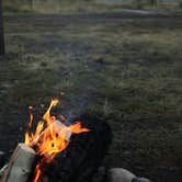 Review photo of Shadow Mountain Dispersed Camping by Regan A., September 28, 2019