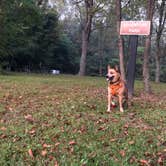 Review photo of Fort Custer Recreation Area by Art S., September 28, 2019