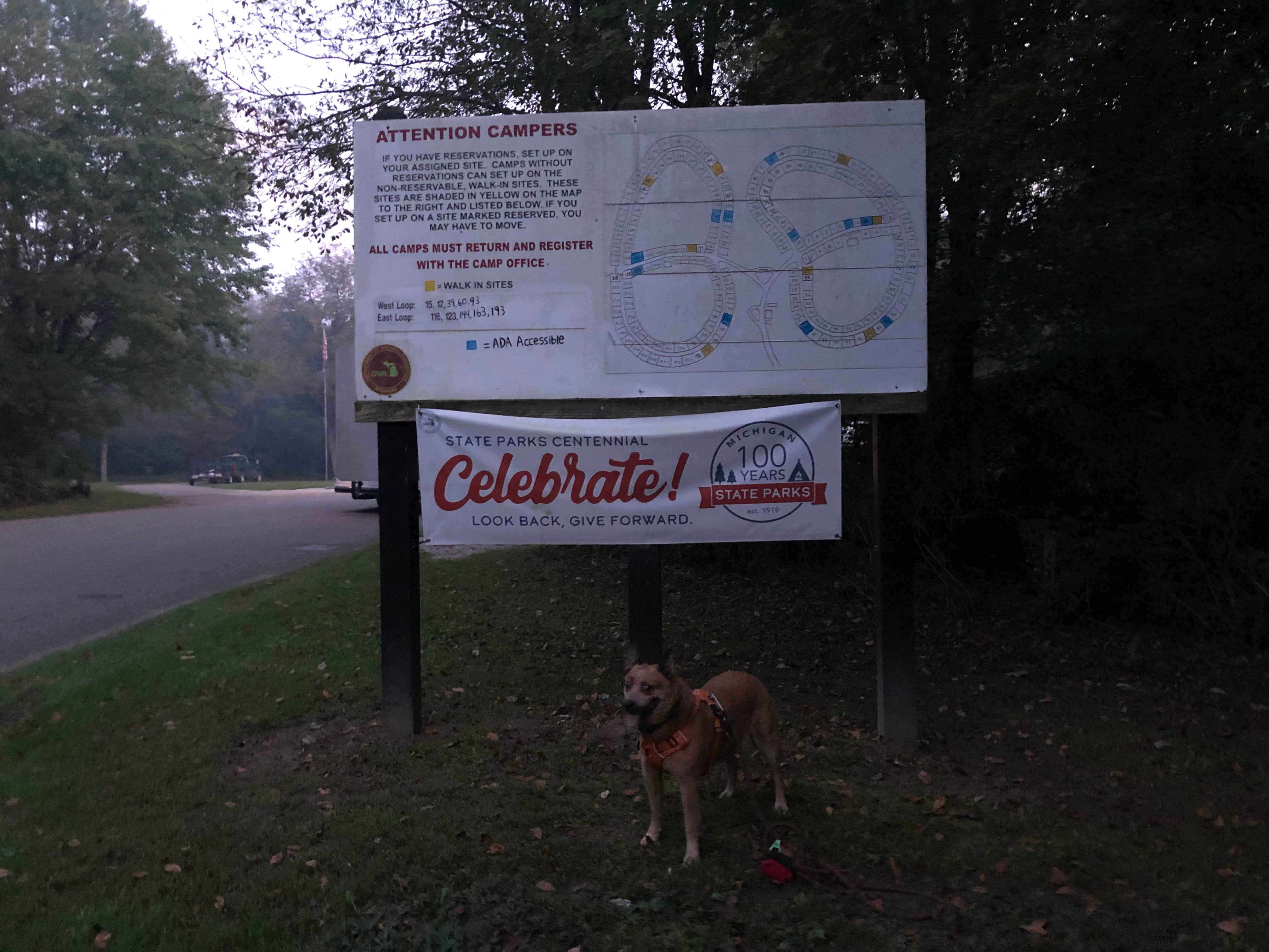 Art S.'s photo of camping with pets at Fort Custer Recreation Area near Ceresco, MI