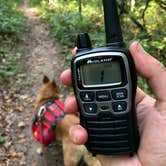 Review photo of Fort Custer Recreation Area by Art S., September 28, 2019