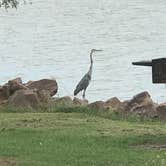 Review photo of Great Plains State Park Campground by Kelly B., September 28, 2019