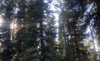 Vijitra V.'s photo at Lewis Lake Campground near John D. Rockefeller Jr. Memorial Parkway