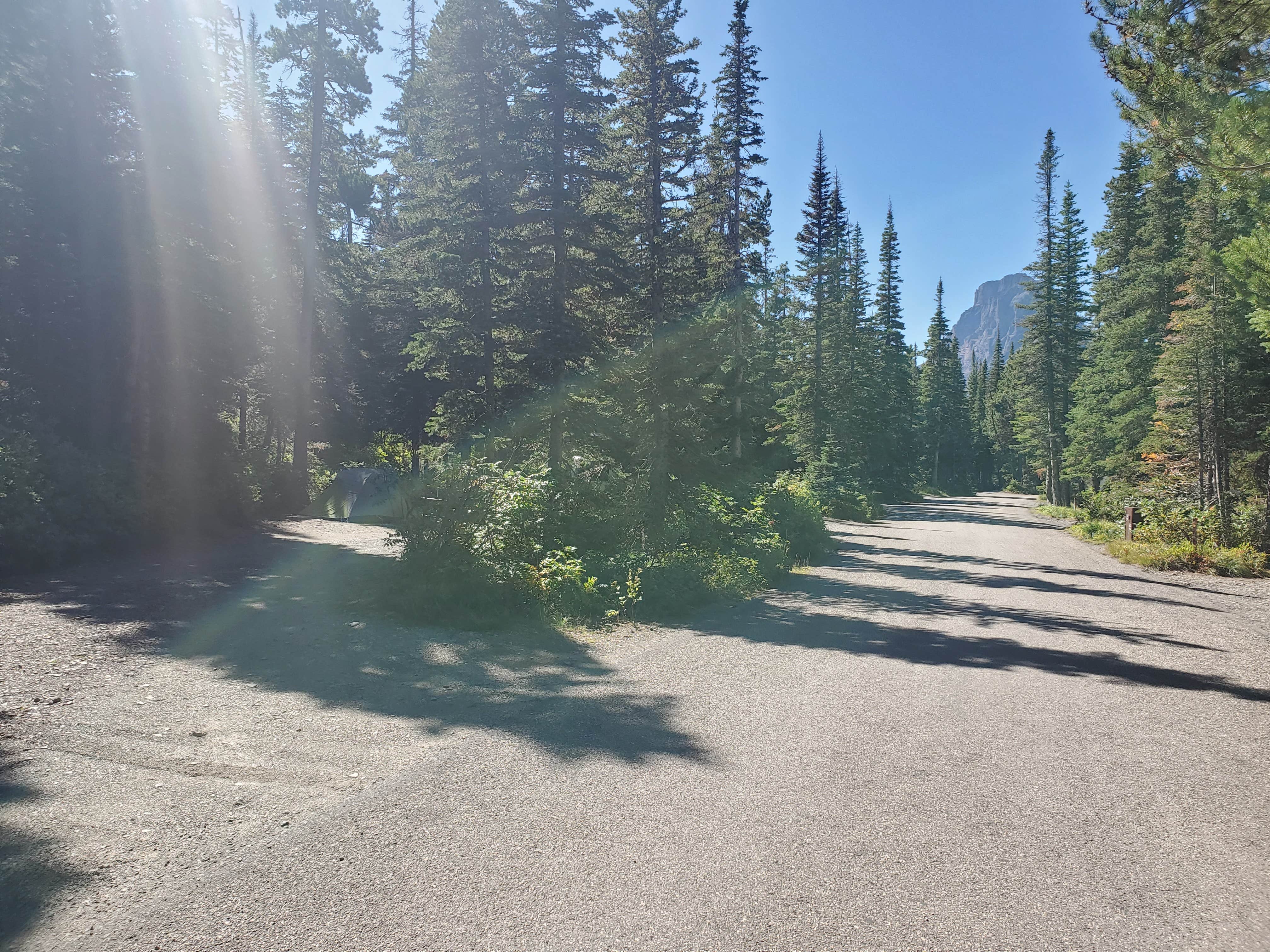 Montana - Photo 3