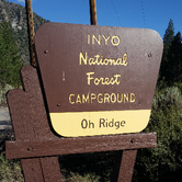 Review photo of Inyo National Forest Oh Ridge Campground by Ryan W., August 12, 2017