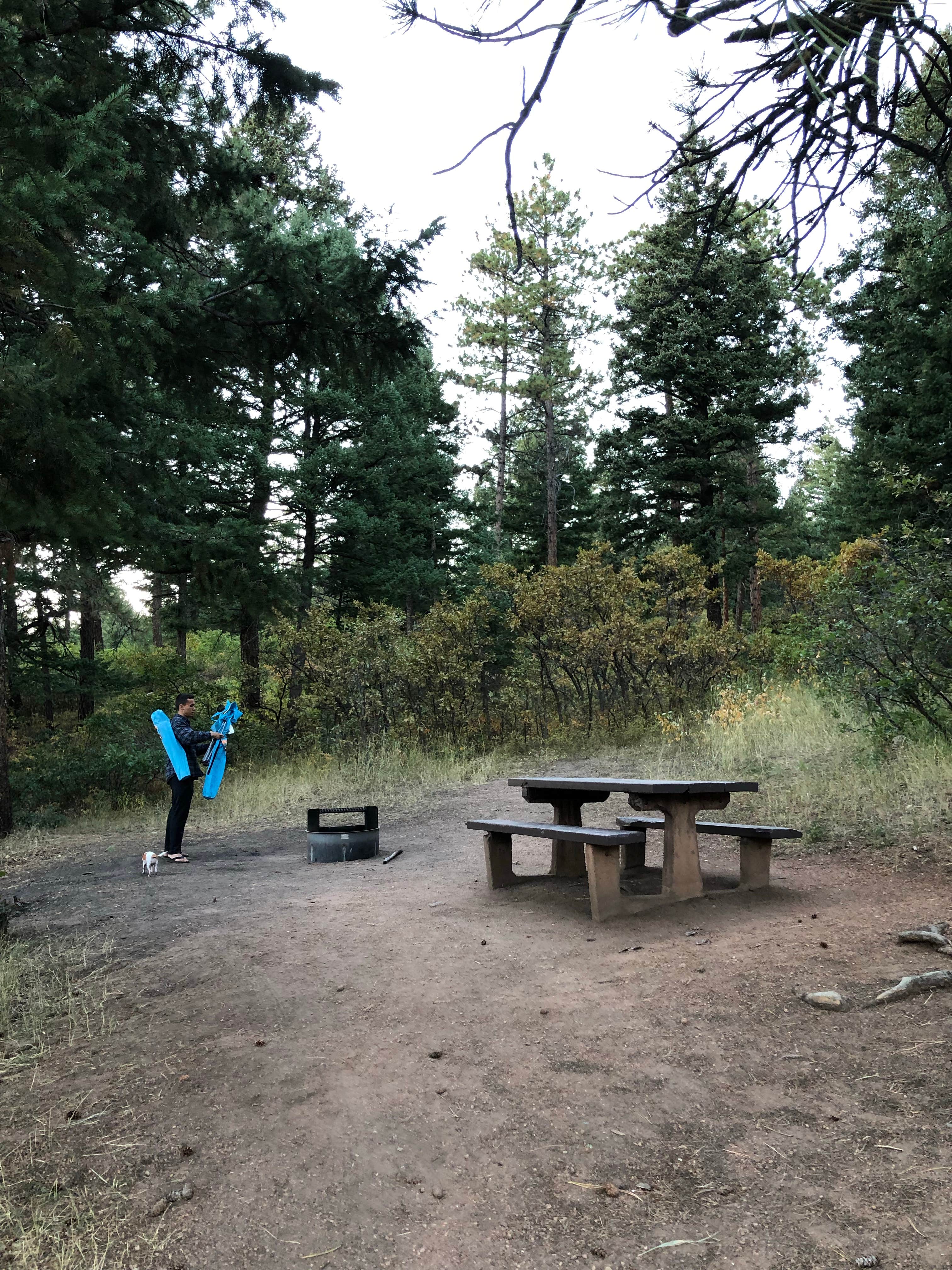 Camper-submitted photo at Indian Creek near Calhan, CO