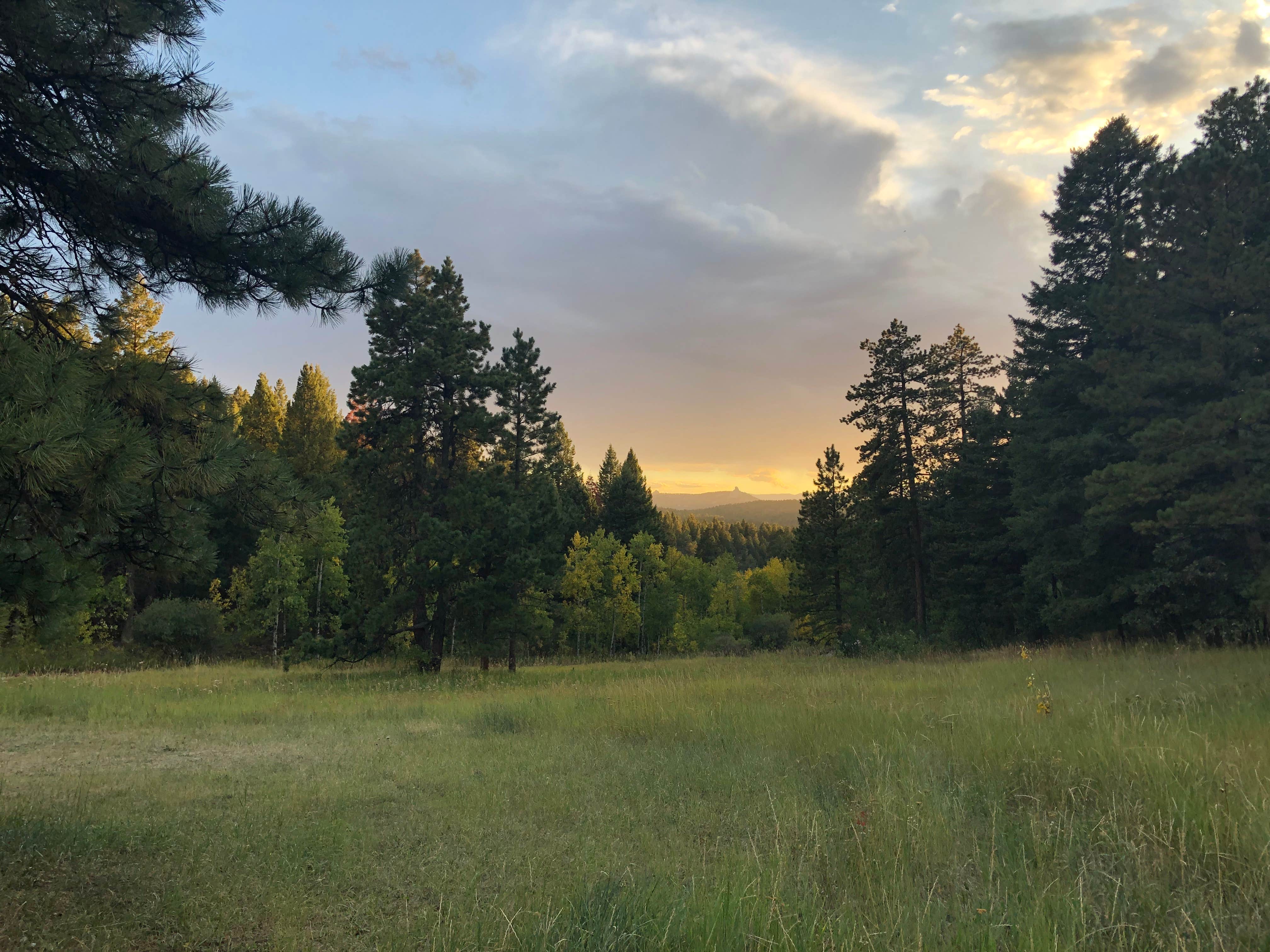 Camper-submitted photo at Indian Creek near Calhan, CO