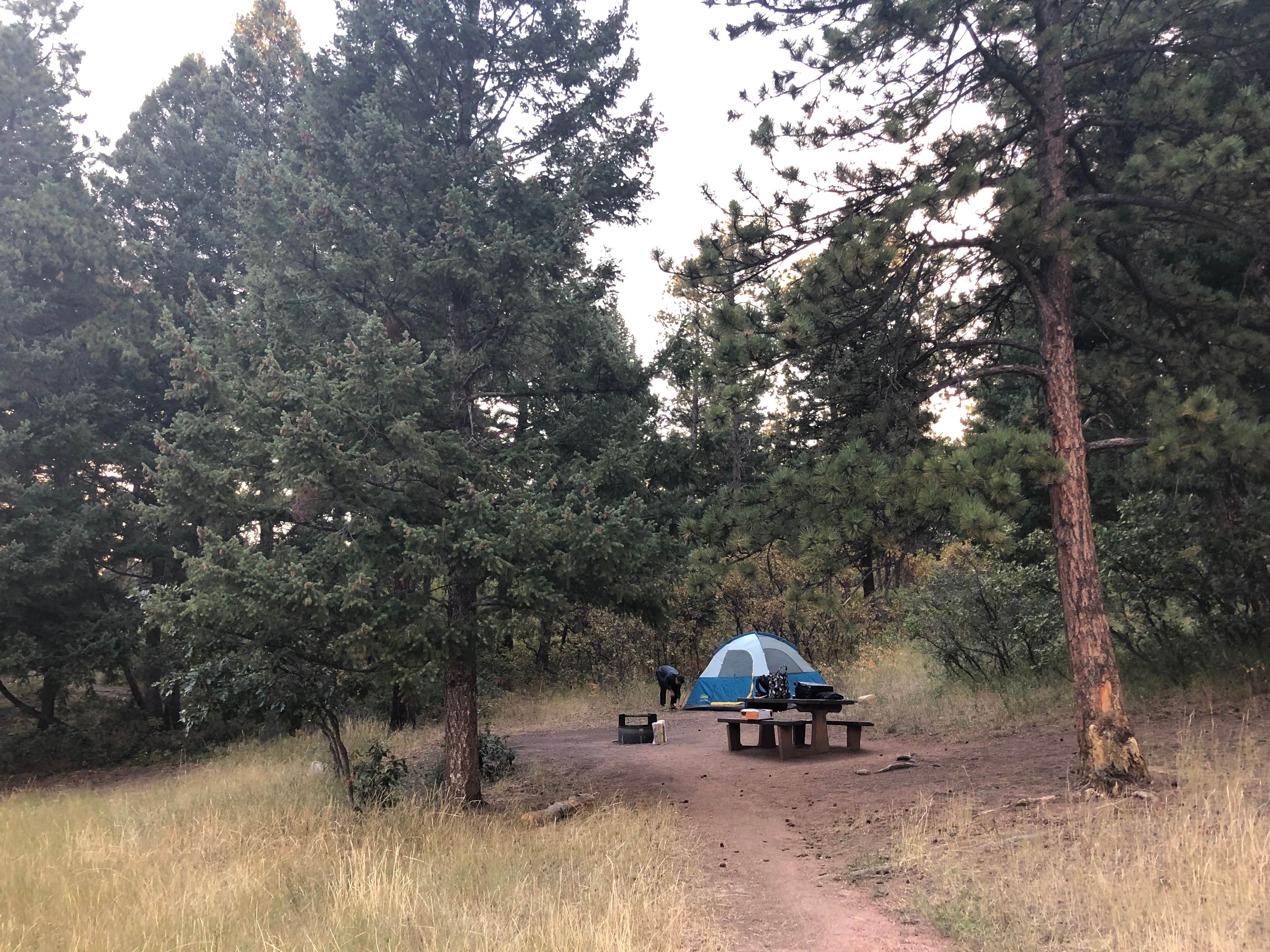 Savanna M.'s photo at Indian Creek near Littleton, CO