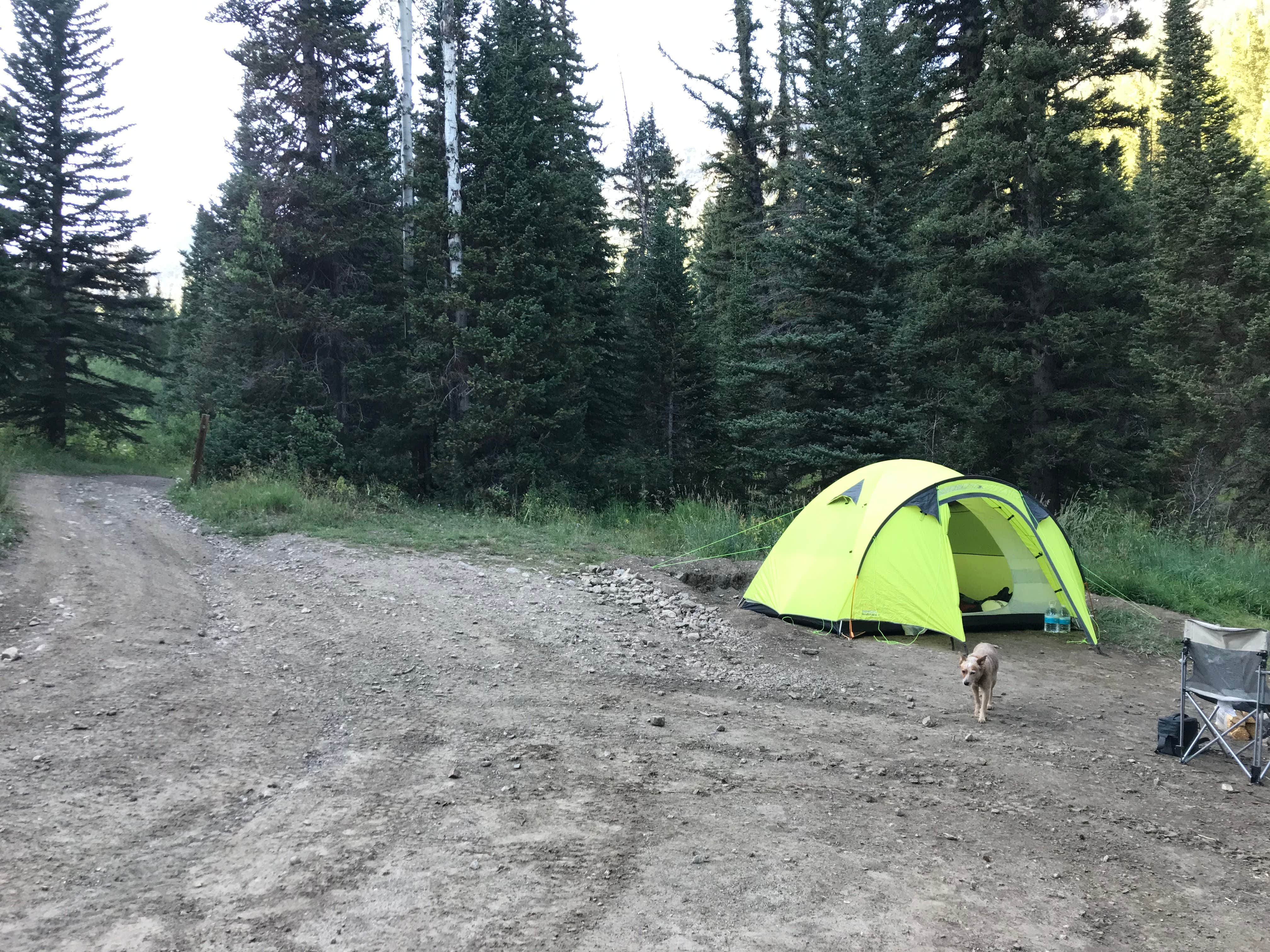 Jenny R.'s photo of a dispersed camping area at Mineral Basin Dispersed near Taylorsville, UT