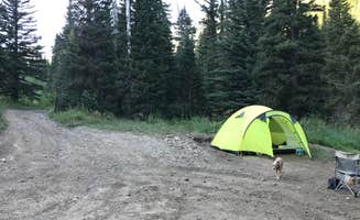 Jenny R.'s photo at Mineral Basin Dispersed near Cottonwood Heights, UT