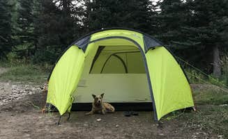 Jenny R.'s photo at Mineral Basin Dispersed near Mounthaven, UT