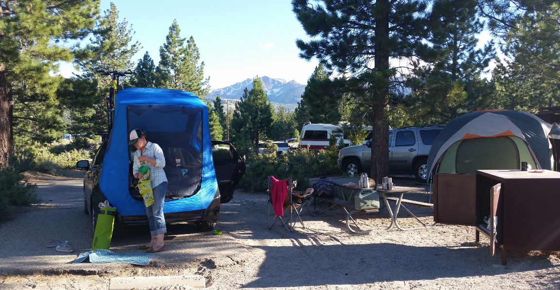 Ryan W.'s photo at Inyo National Forest Oh Ridge Campground near June Lake, CA