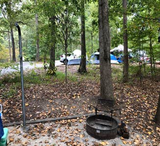 Camper-submitted photo from Walnut Grove — James River State Park