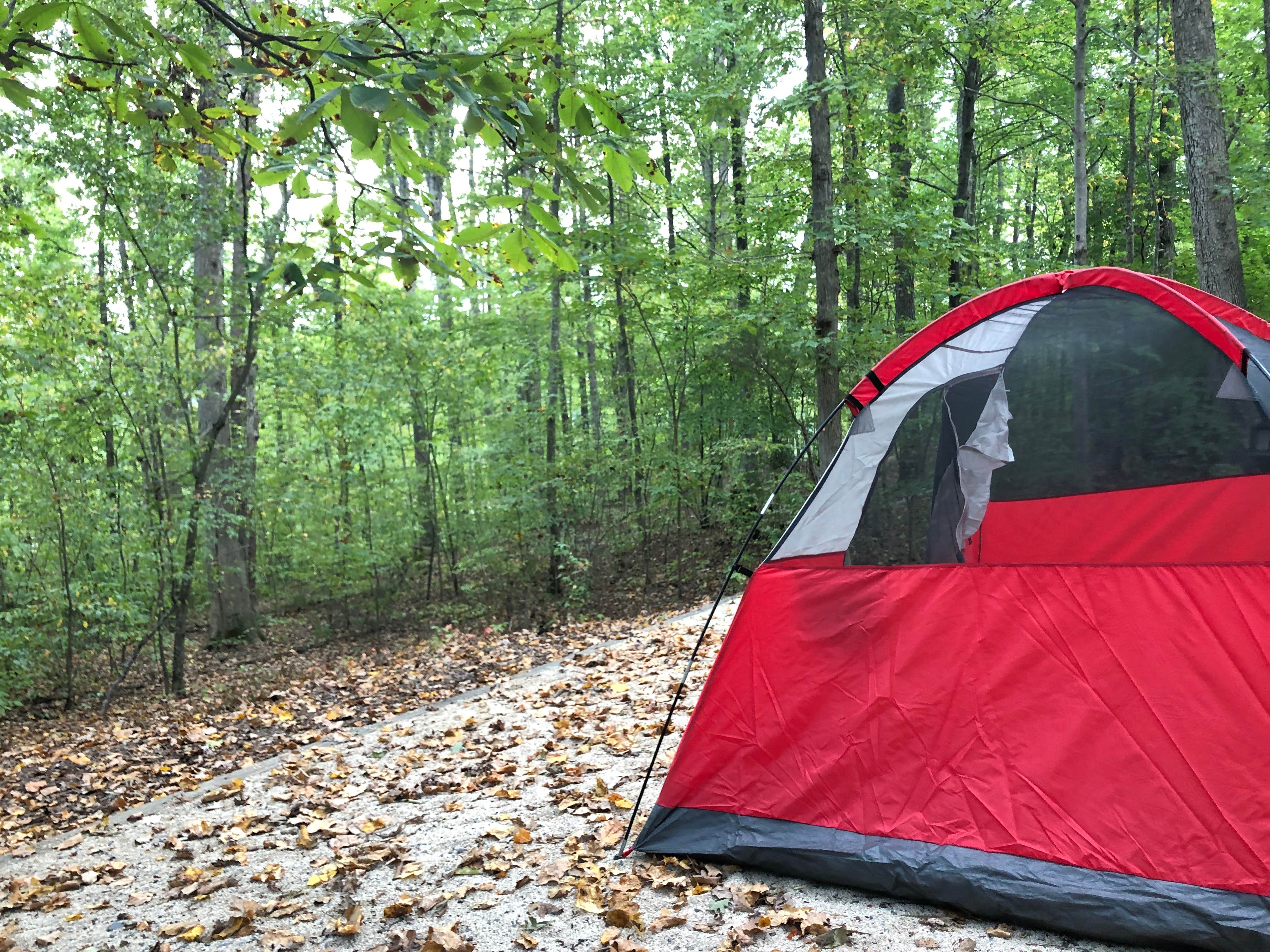Camper-submitted photo at Bear Creek Lake State Park Campground near Goochland, VA