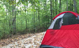 RL's photo at Bear Creek Lake State Park Campground near Burkeville, VA