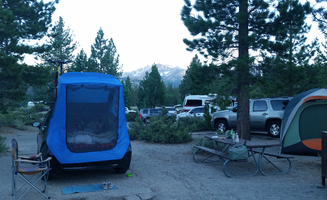 Ryan W.'s photo at Inyo National Forest Oh Ridge Campground near June Lake, CA