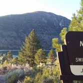 Review photo of Inyo National Forest Oh Ridge Campground by Ryan W., August 12, 2017