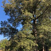 Review photo of Bear Creek Lake State Park Campground by RL , September 29, 2019