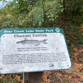 Review photo of Bear Creek Lake State Park Campground by RL , September 29, 2019