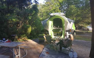 Rodney C.'s photo at Huntington Beach State Park Campground near Andrews, SC