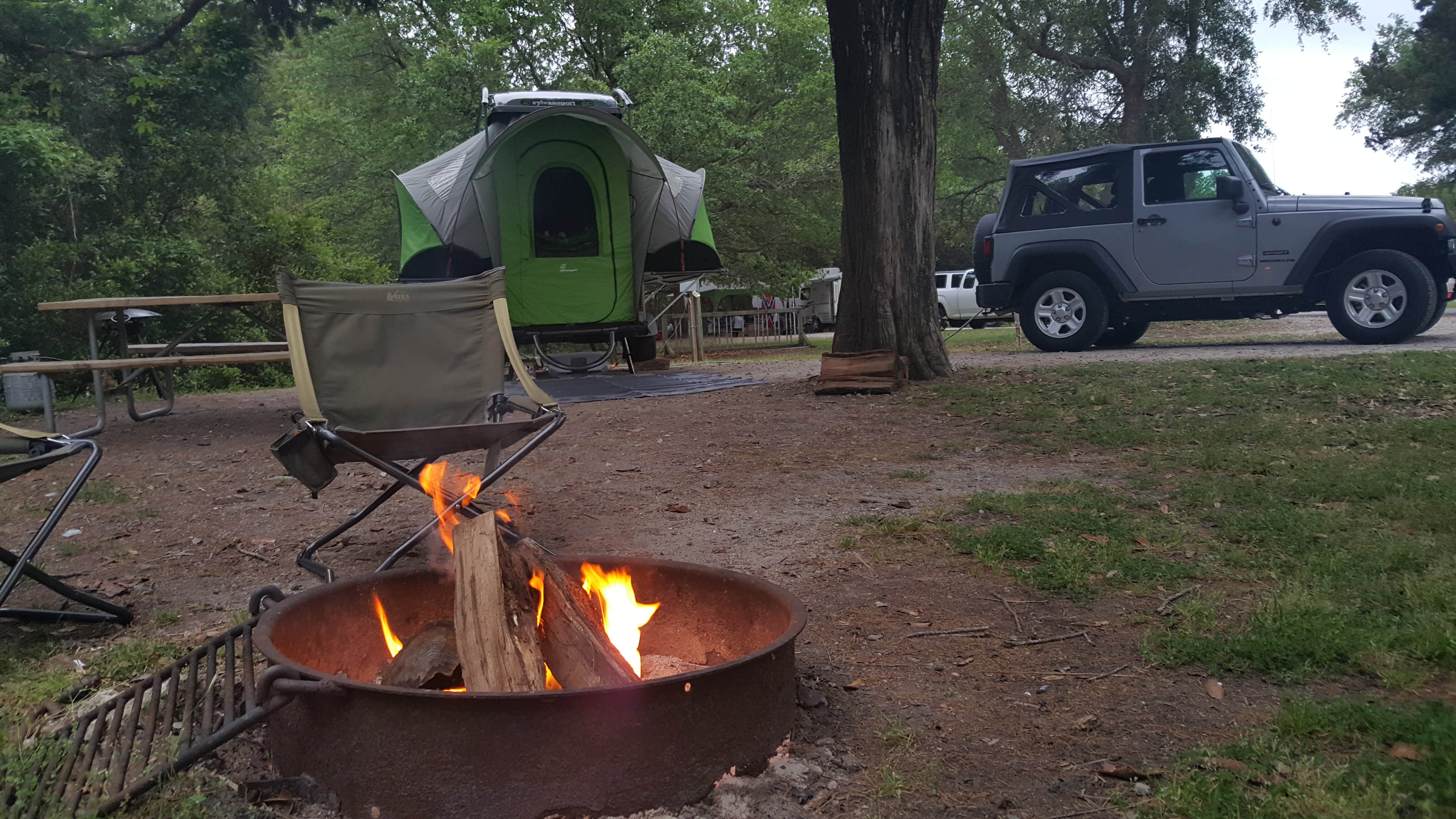 Rodney C.'s photo at Huntington Beach State Park Campground near Conway, SC