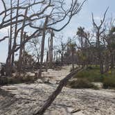 Review photo of Hunting Island State Park Campground by Rodney C., September 29, 2019