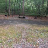 Review photo of Gee Creek Campground — Hiwassee/Ocoee Scenic River State Park by Nate H., September 29, 2019