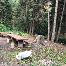 Each site had 2 picnic tables, one normal size and one extra long