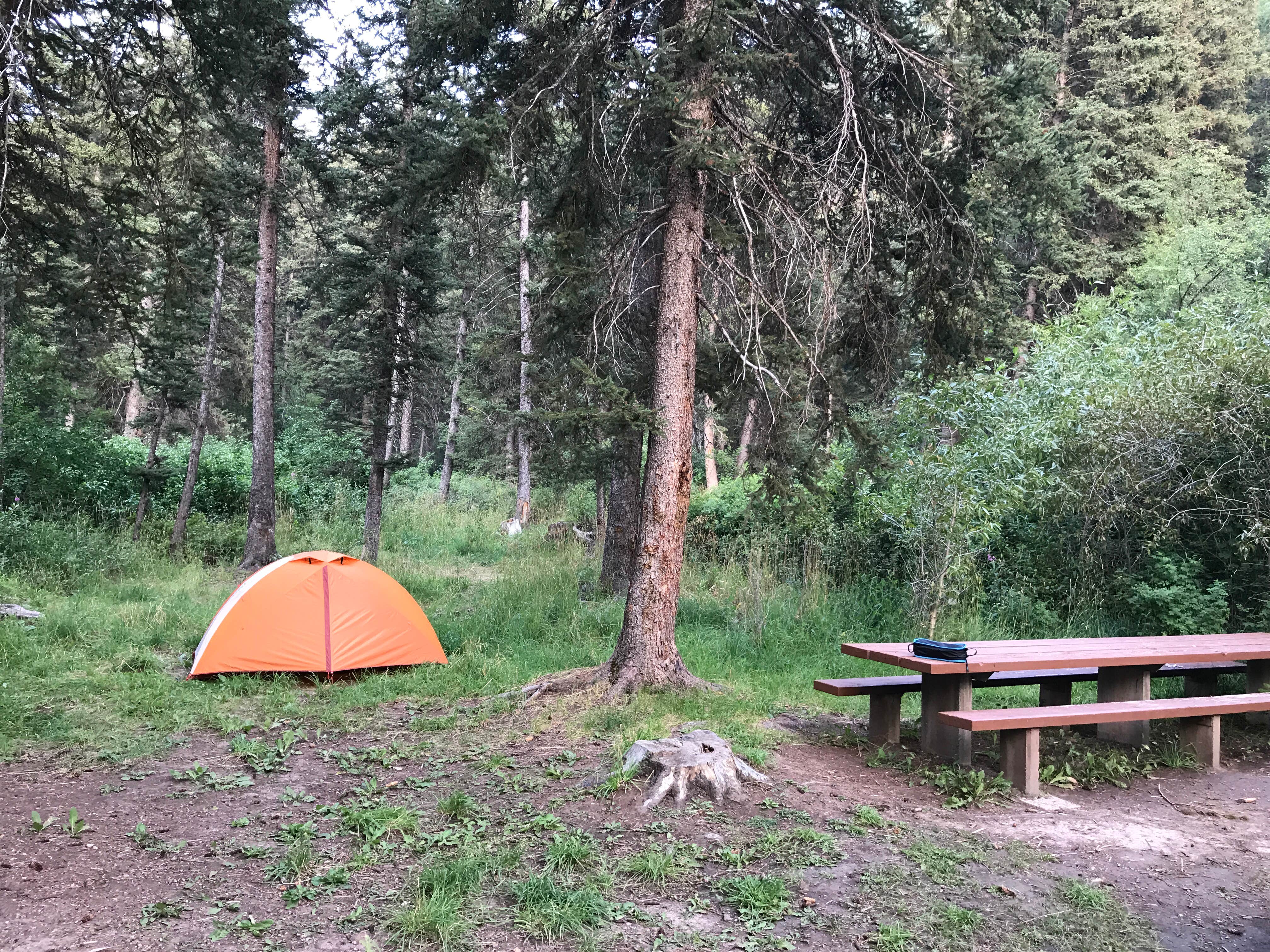 Carrie C.'s photo at Swift Creek Campground near Star Valley Ranch, WY